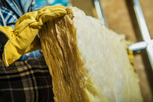 Best Residential Insulation in Eureka, IL