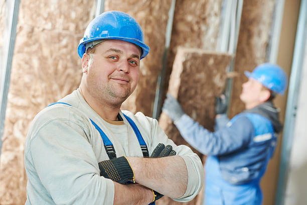 Best Insulation Installation Services in Eureka, IL