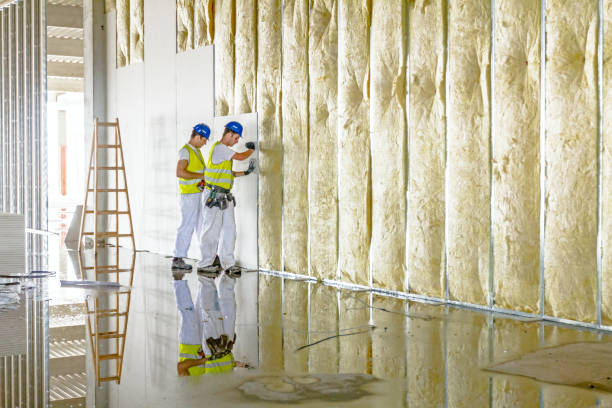 Best Insulation for Specific Applications in Eureka, IL